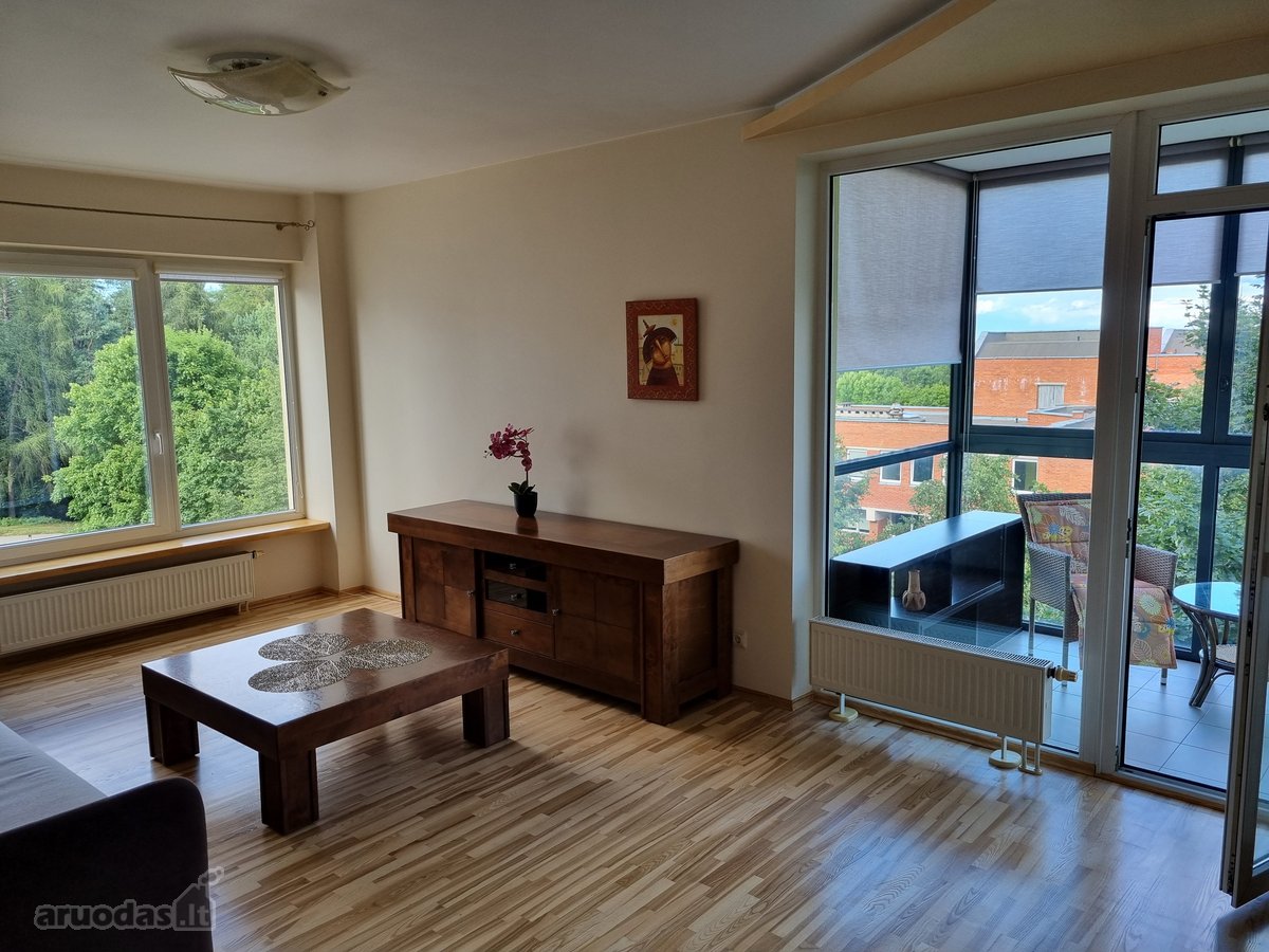 Nuomojo jaukų, šviesų , dviejų kambarių butą - nuotraukos Nr. 19