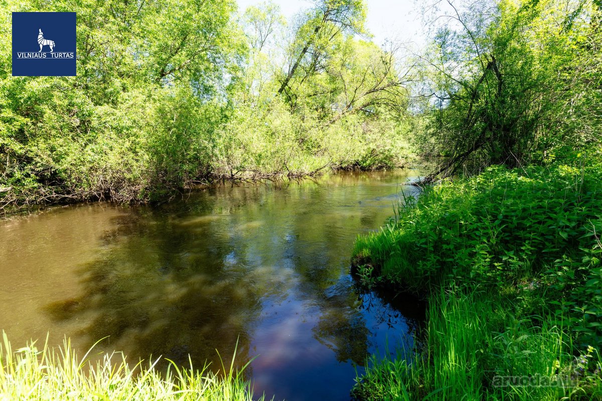 Parduodamas vienas didžiausių šilauogių ūkių - nuotraukos Nr. 12