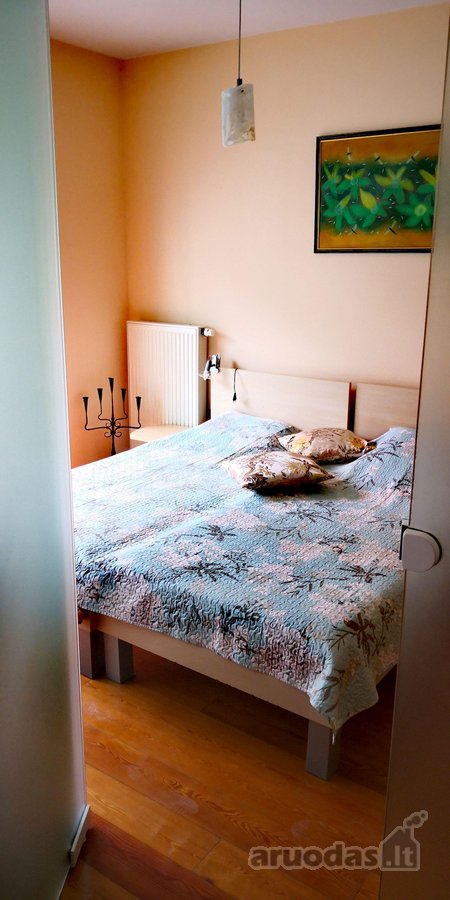 Išnuomojamas pilnai įrengtas butas Vanagupės - nuotraukos Nr. 16