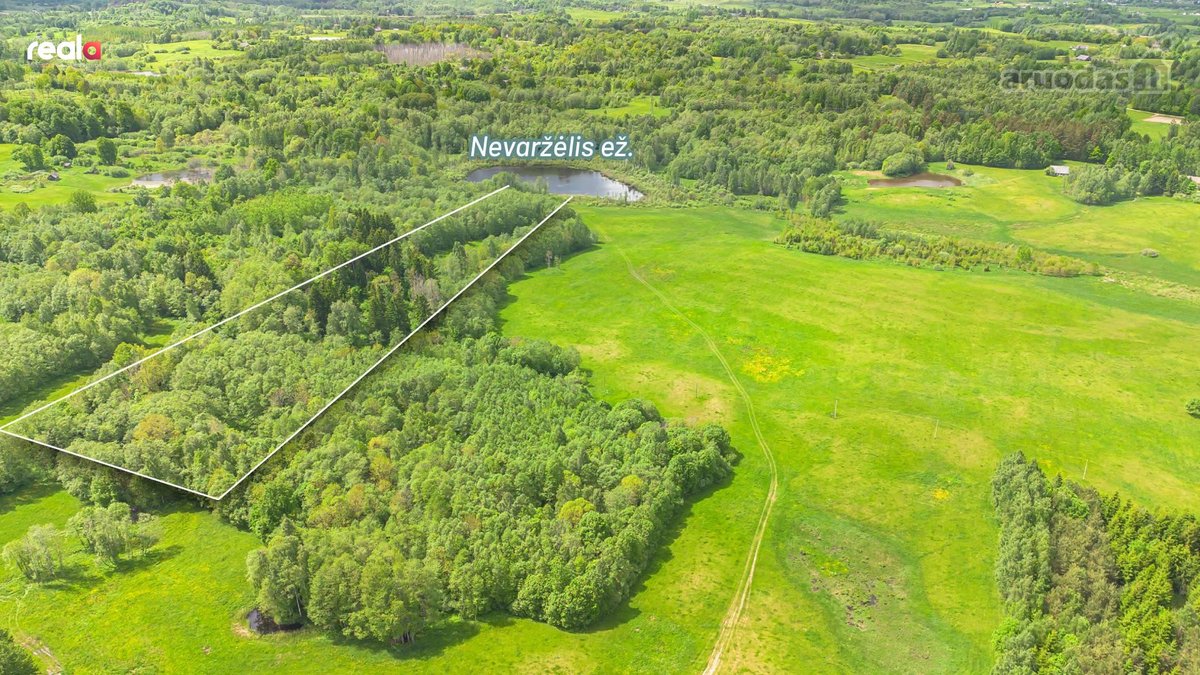 Ramiame gamtos kraštelyje, miško apsuptyje su - nuotraukos Nr. 4