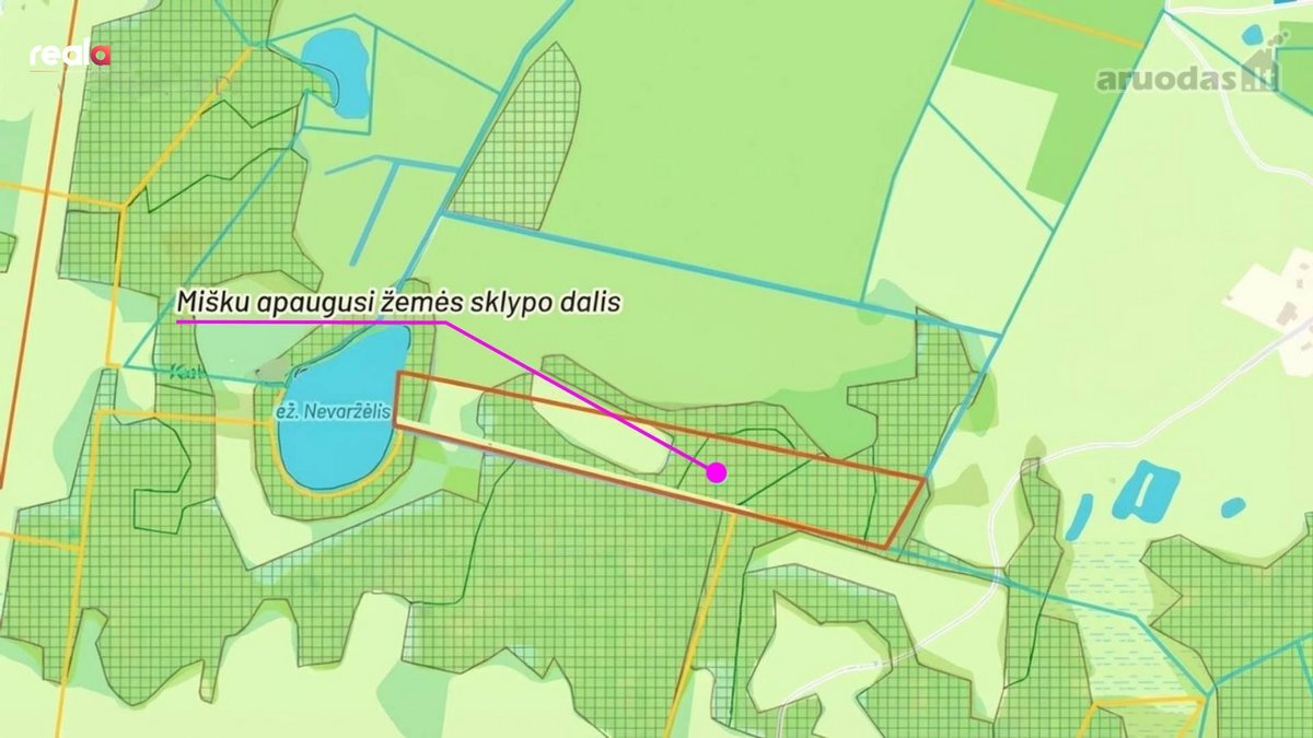 Ramiame gamtos kraštelyje, miško apsuptyje su - nuotraukos Nr. 8