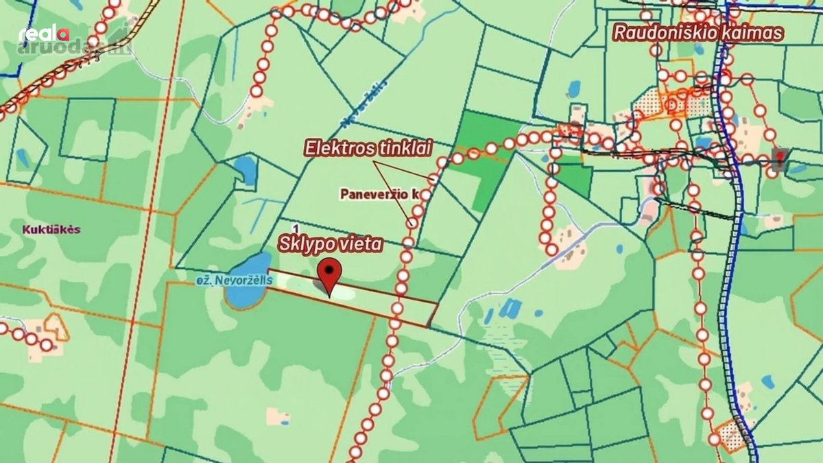 Ramiame gamtos kraštelyje, miško apsuptyje su - nuotraukos Nr. 9