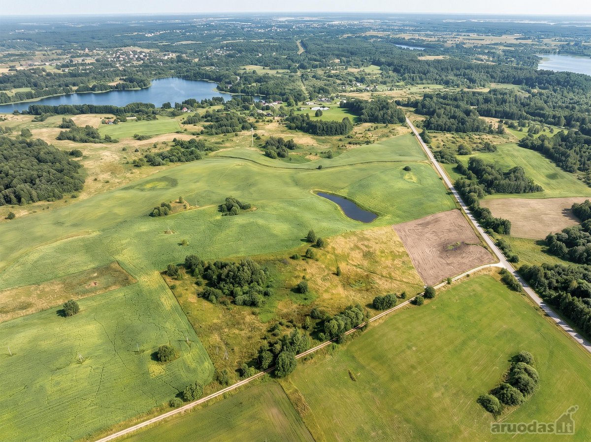 Parduodamas 2,163 Ha Žemės Ūkio Paskirties - nuotraukos Nr. 5