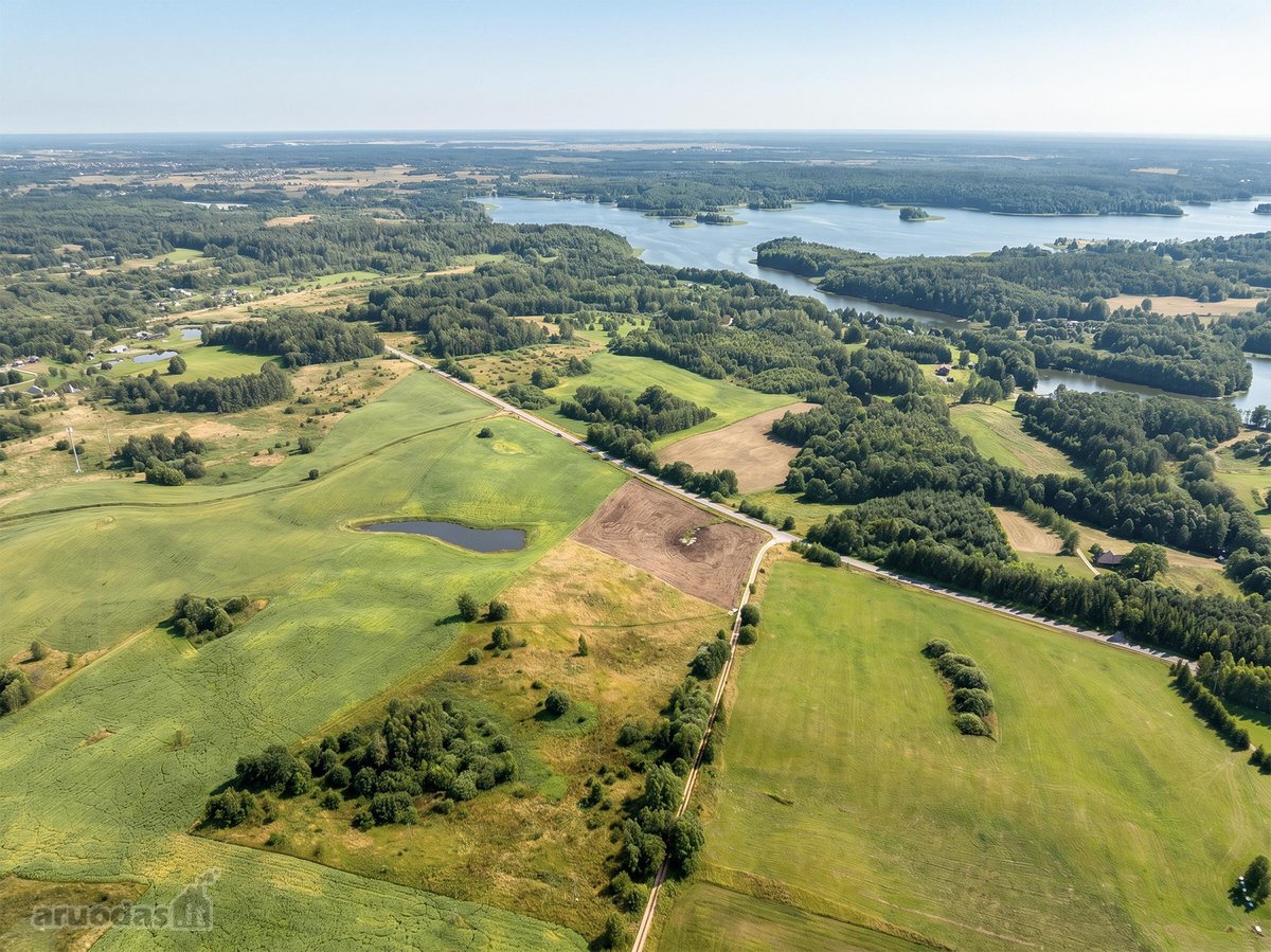 Parduodamas 2,163 Ha Žemės Ūkio Paskirties - nuotraukos Nr. 6