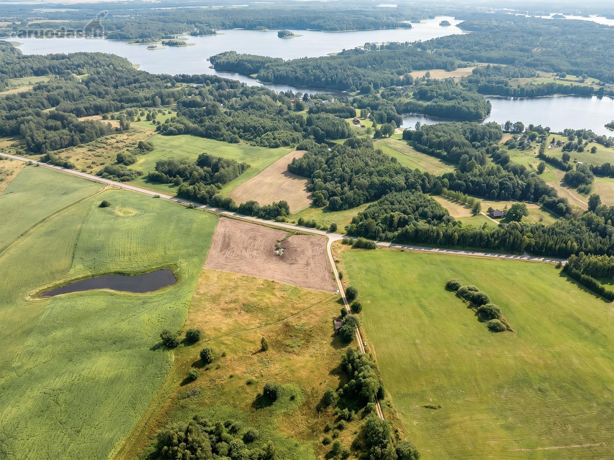Parduodamas 2,163 Ha Žemės Ūkio Paskirties - nuotraukos Nr. 7