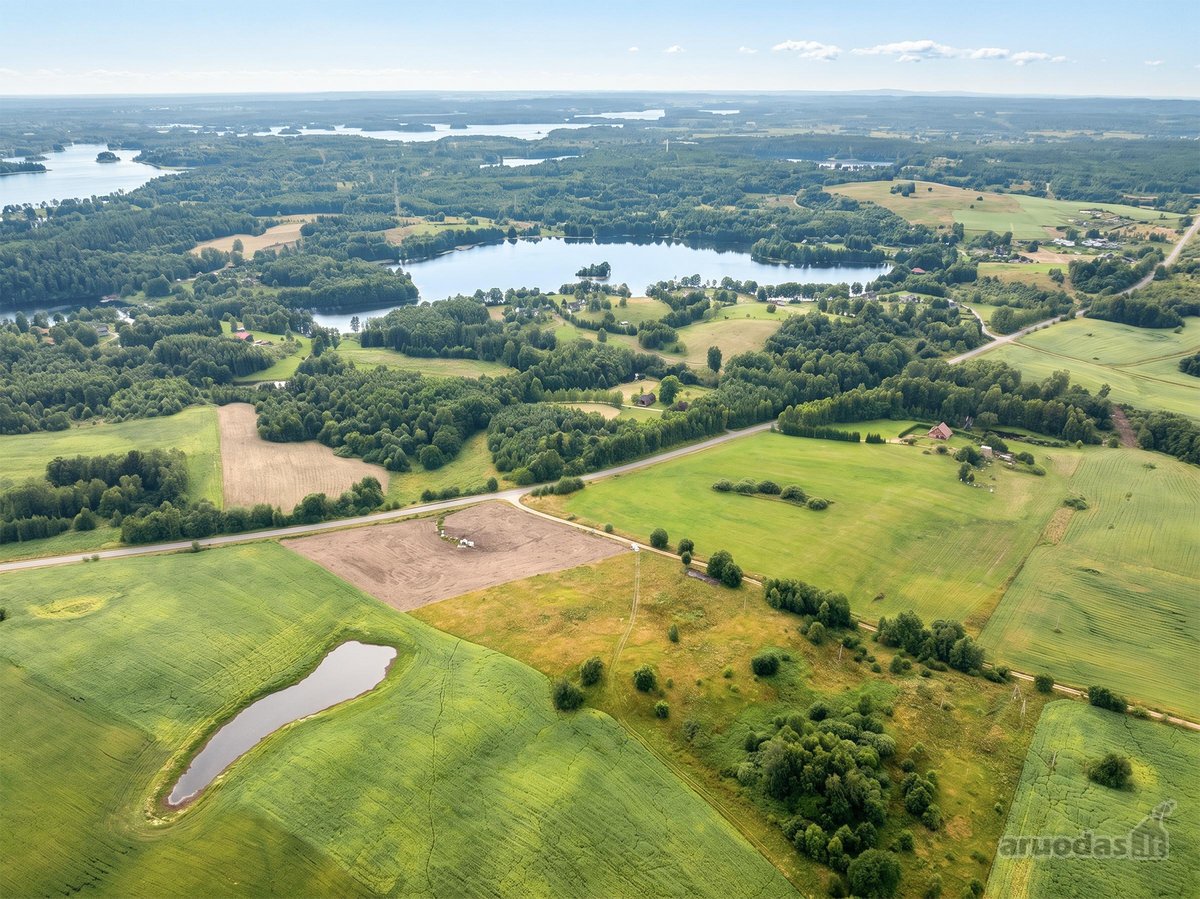 Parduodamas 2,163 Ha Žemės Ūkio Paskirties - nuotraukos Nr. 8