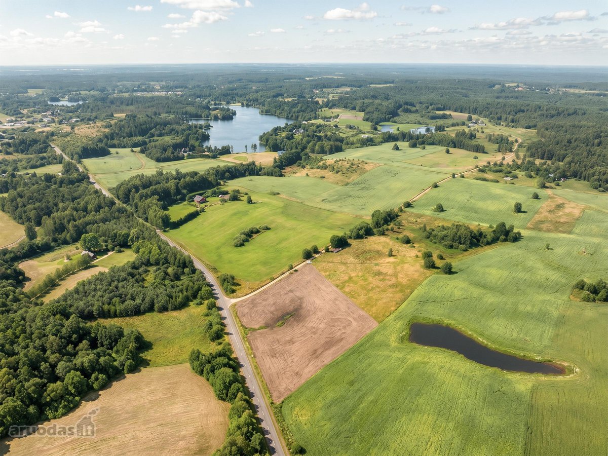 Parduodamas 2,163 Ha Žemės Ūkio Paskirties - nuotraukos Nr. 10