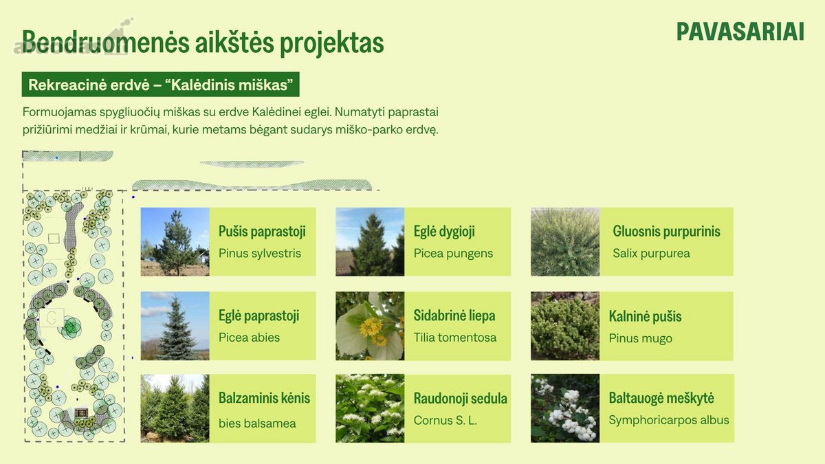 Pavasariai - Naujos Kartos Vilniaus - nuotraukos Nr. 33