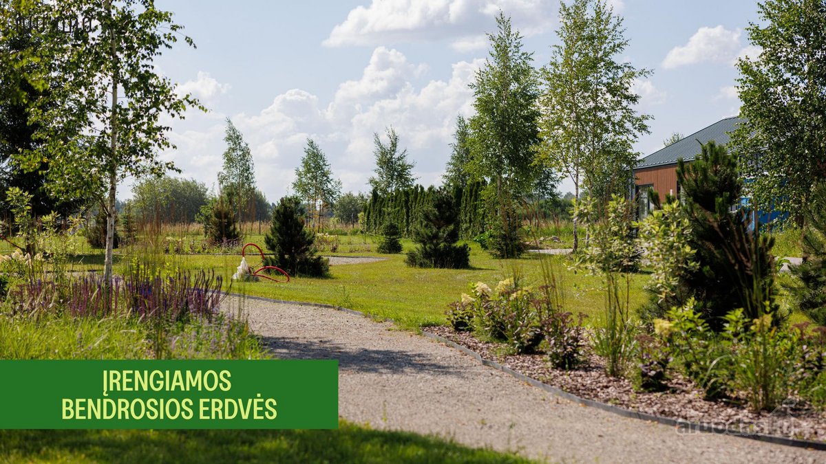 Pavasariai - Naujos Kartos Vilniaus - nuotraukos Nr. 12