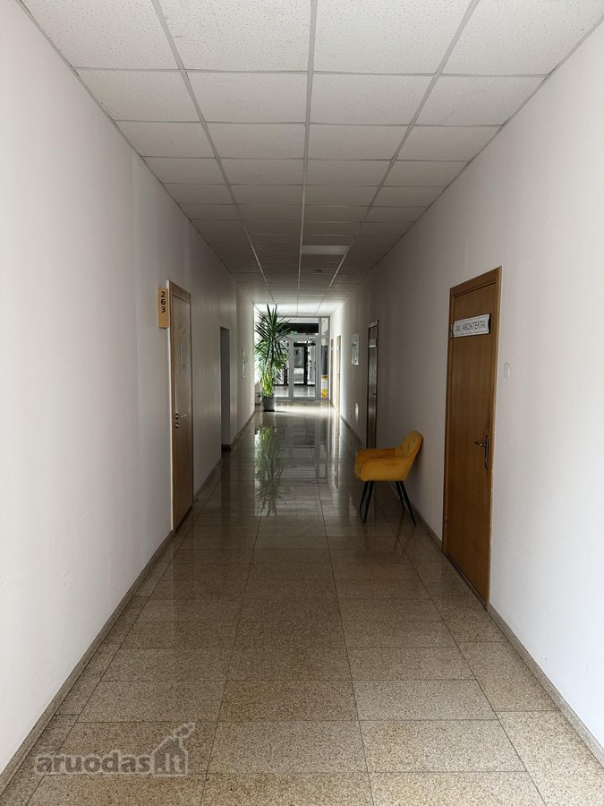 Vilniaus m. sav., Vilniaus m., Naujamiestis - nuotraukos Nr. 2