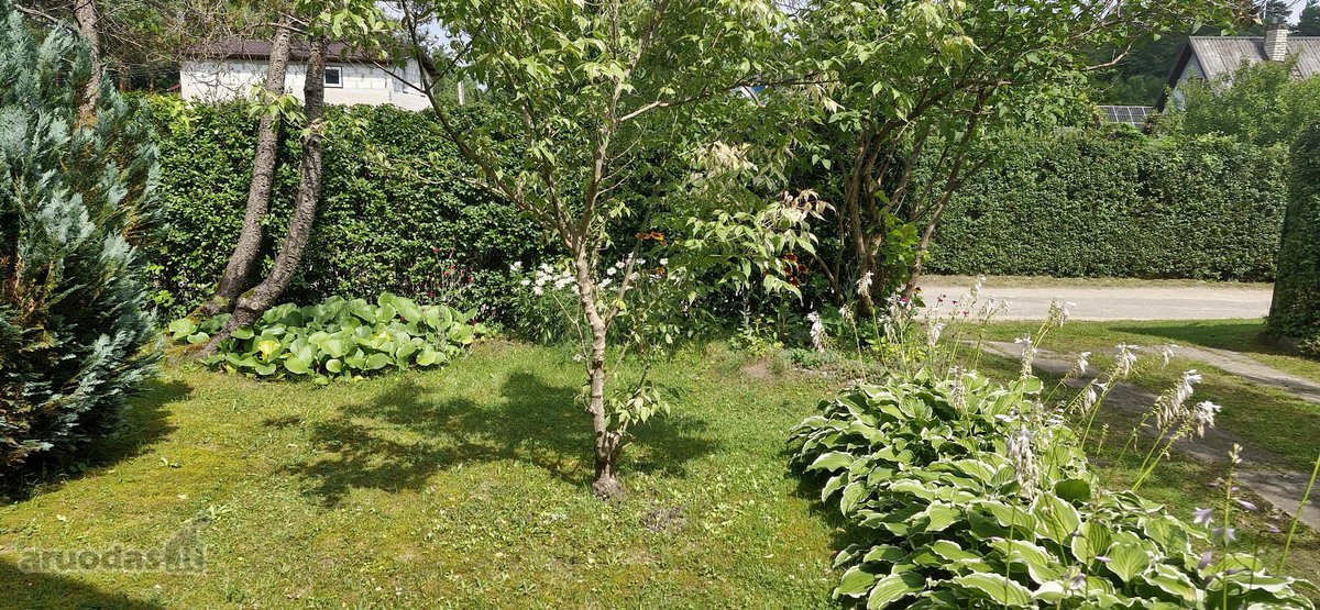 Parduodamas jaukus ir prižiūrėtas sklypas su - nuotraukos Nr. 3