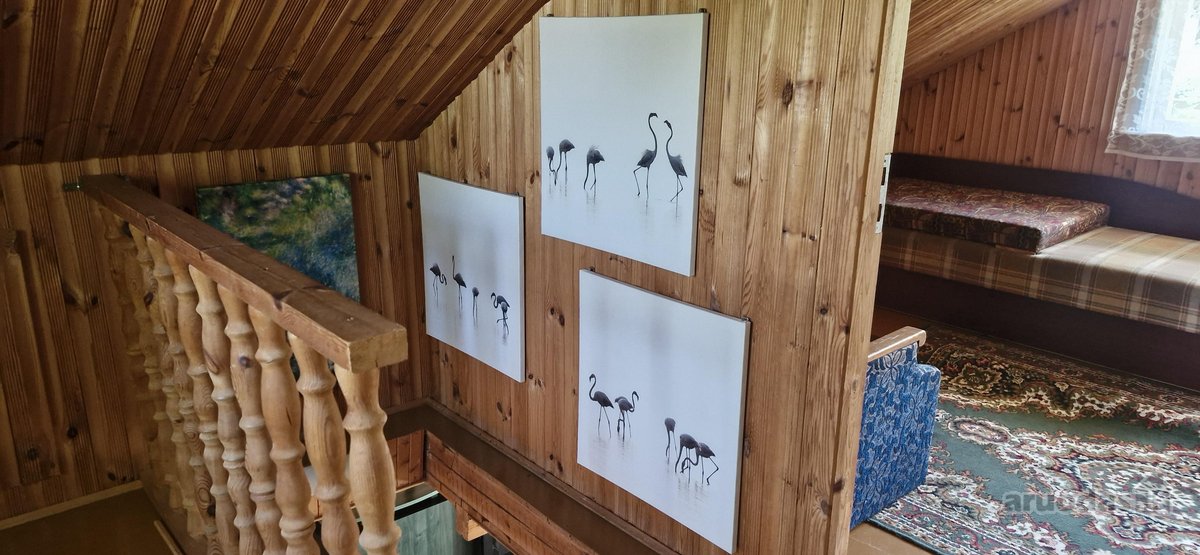 Parduodamas jaukus ir prižiūrėtas sklypas su - nuotraukos Nr. 13