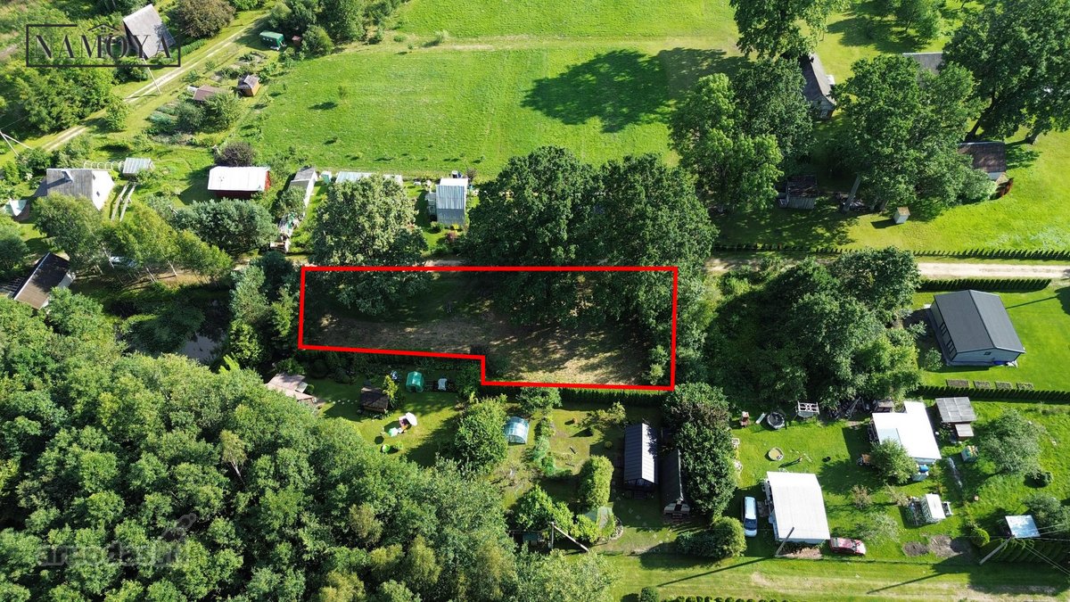 Prienų rajone, Papilvio kaime, Narcizų - nuotraukos Nr. 2