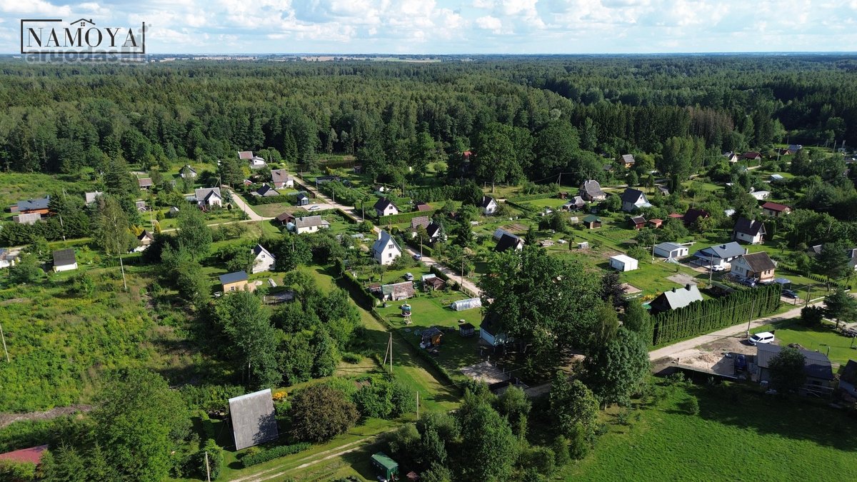 Prienų rajone, Papilvio kaime, Narcizų - nuotraukos Nr. 6
