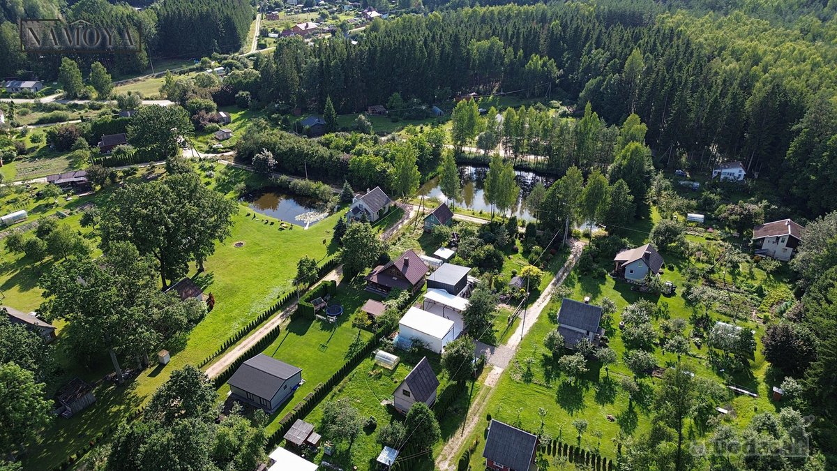 Prienų rajone, Papilvio kaime, Narcizų - nuotraukos Nr. 7