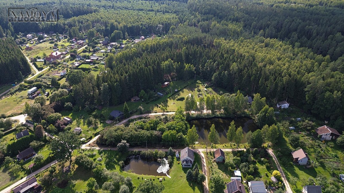 Prienų rajone, Papilvio kaime, Narcizų - nuotraukos Nr. 8