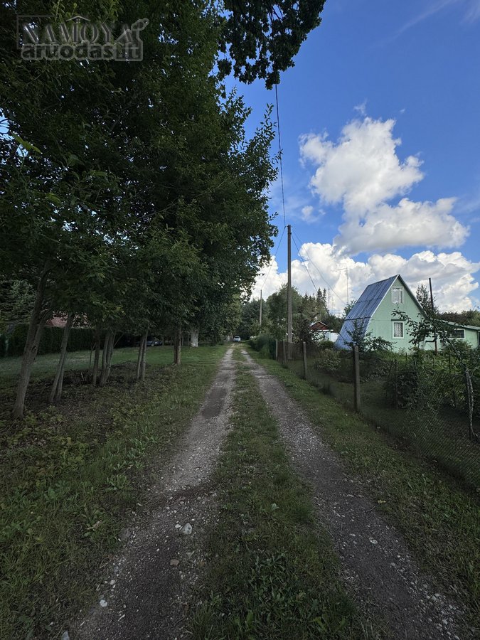 Prienų rajone, Papilvio kaime, Narcizų - nuotraukos Nr. 13