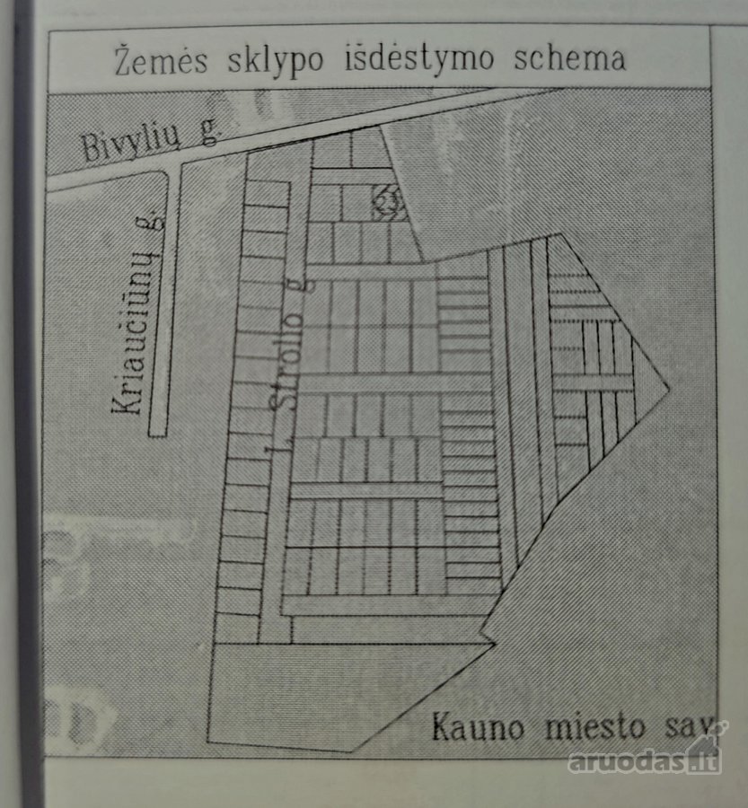 Plotas: 6,56a - nuotraukos Nr. 3