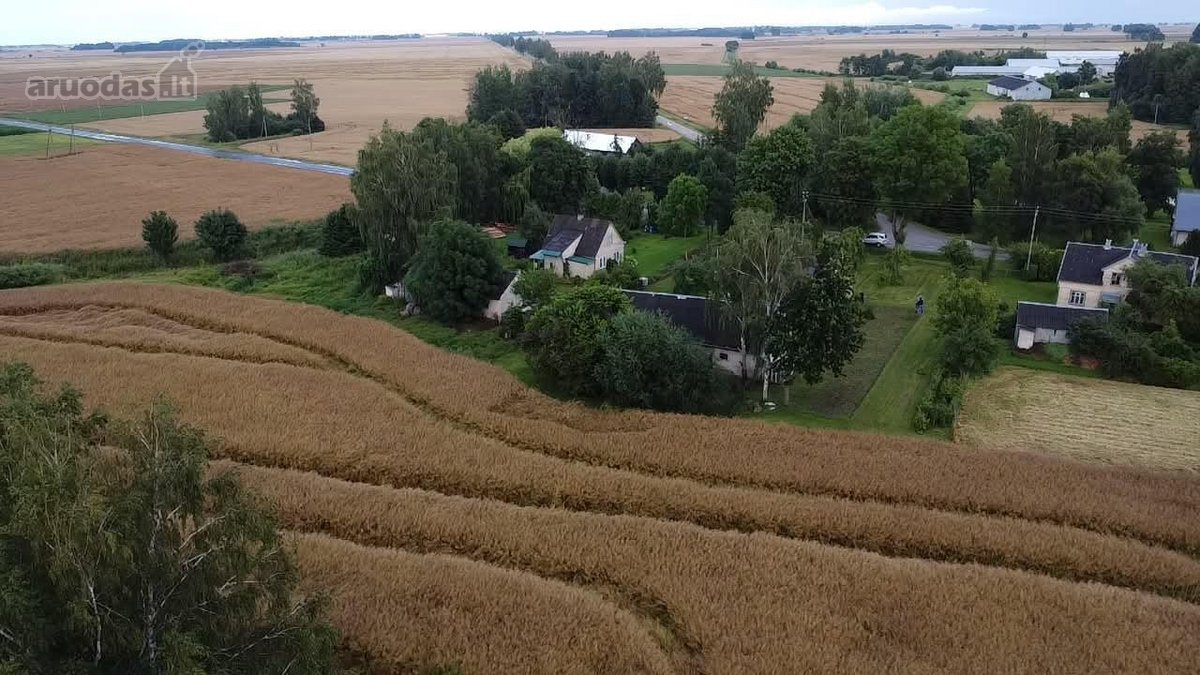 Parduodama tvarkinga sodyba Sintautuose - nuotraukos Nr. 7