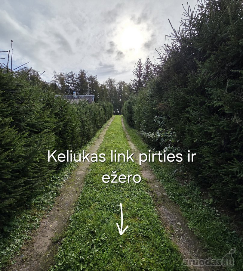 Parduodamas Namų Valdos Sklypas Ant Zaraso - nuotraukos Nr. 16