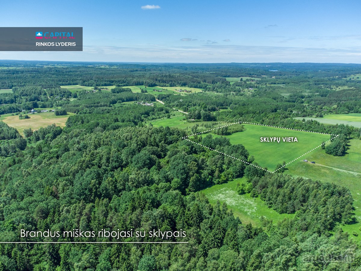 Parduodami 0,48 Ha Namų Valdos Ir 2,4 Ha - nuotraukos Nr. 3