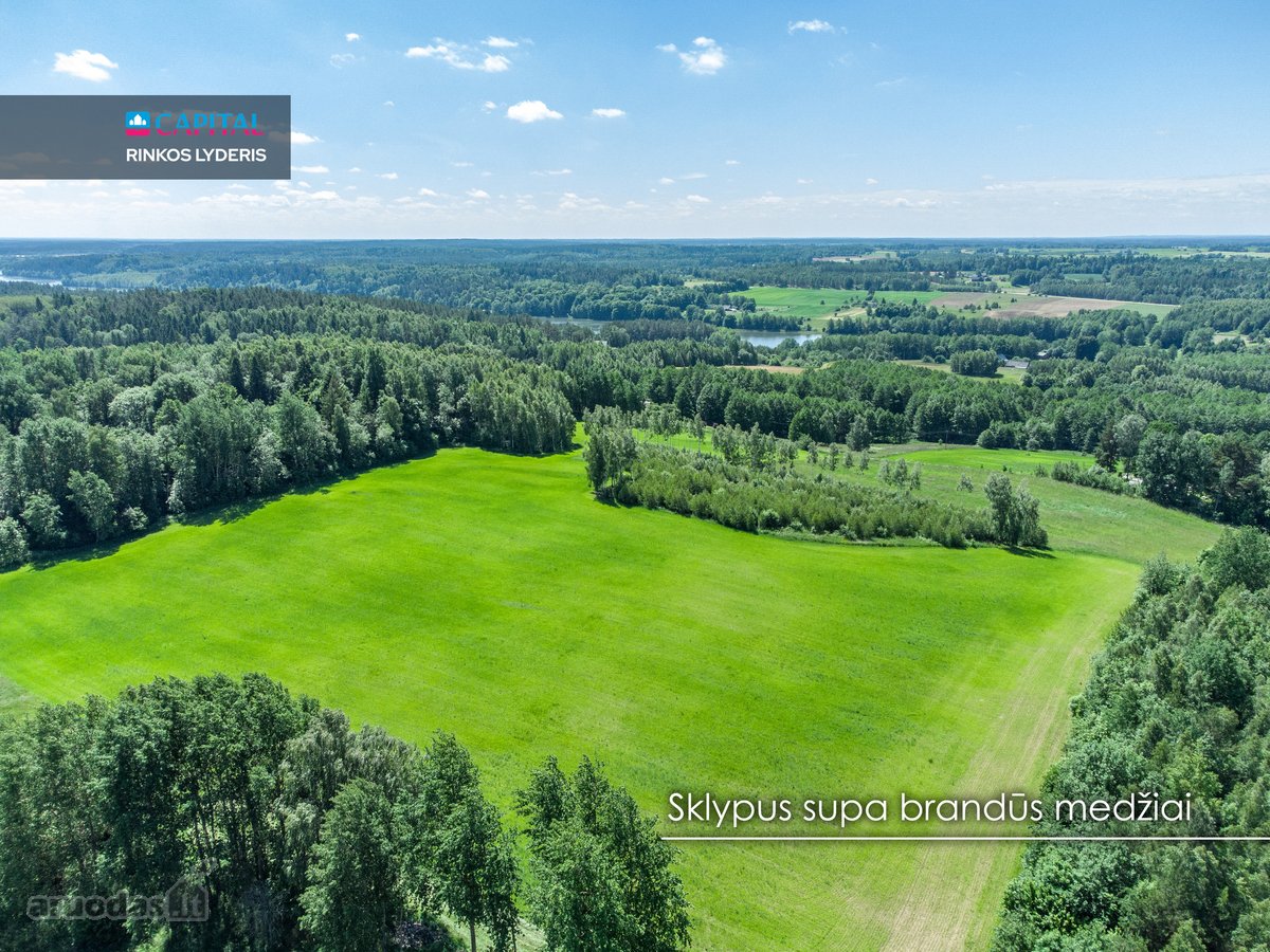 Parduodami 0,48 Ha Namų Valdos Ir 2,4 Ha - nuotraukos Nr. 8