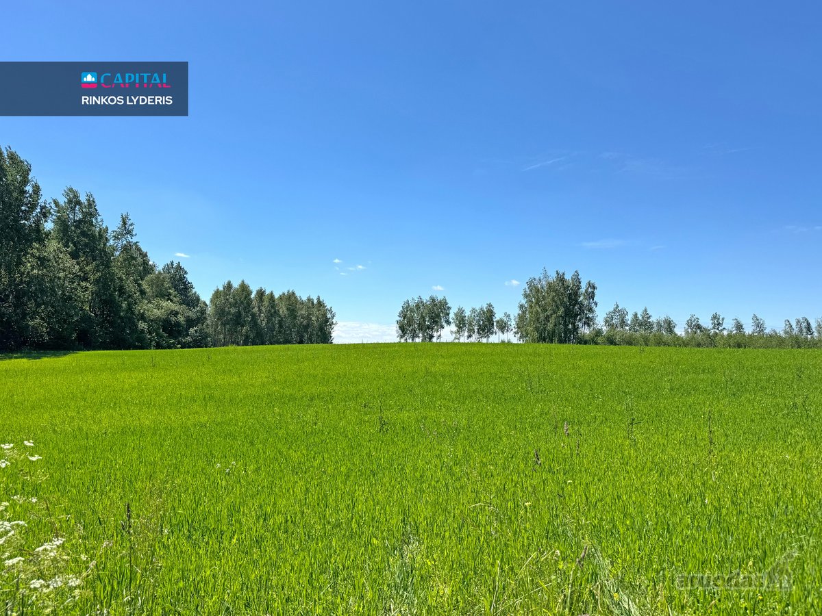 Parduodami 0,48 Ha Namų Valdos Ir 2,4 Ha - nuotraukos Nr. 14