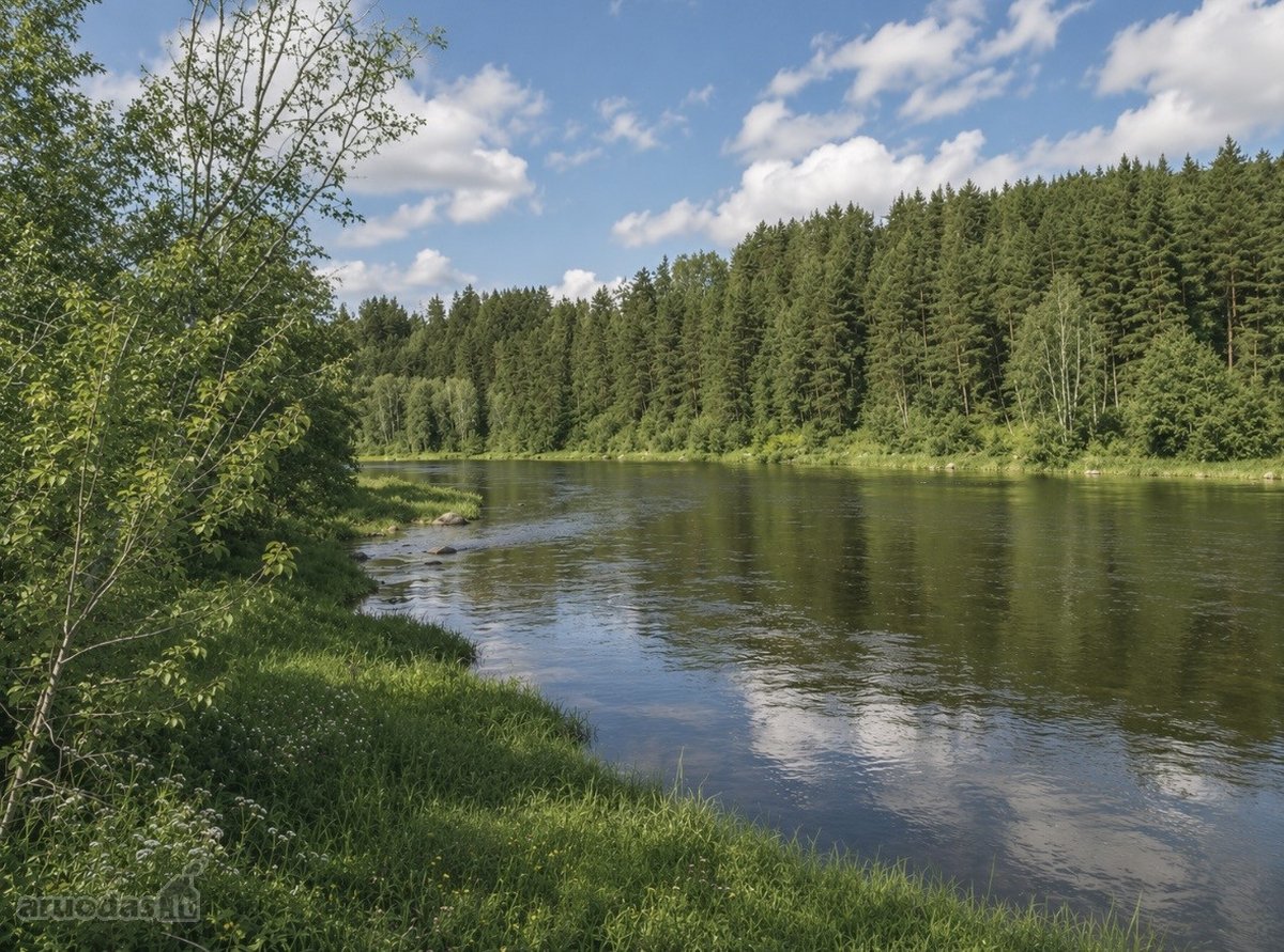 Neries Regioniniame Parke (Pelkių Kaime, - nuotraukos Nr. 3