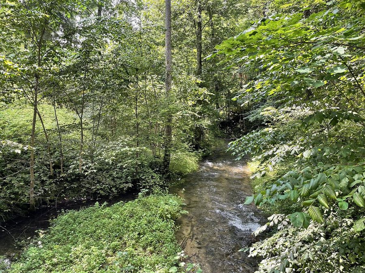 Išskirtinėje vietoje - Aukštadvario - nuotraukos Nr. 43
