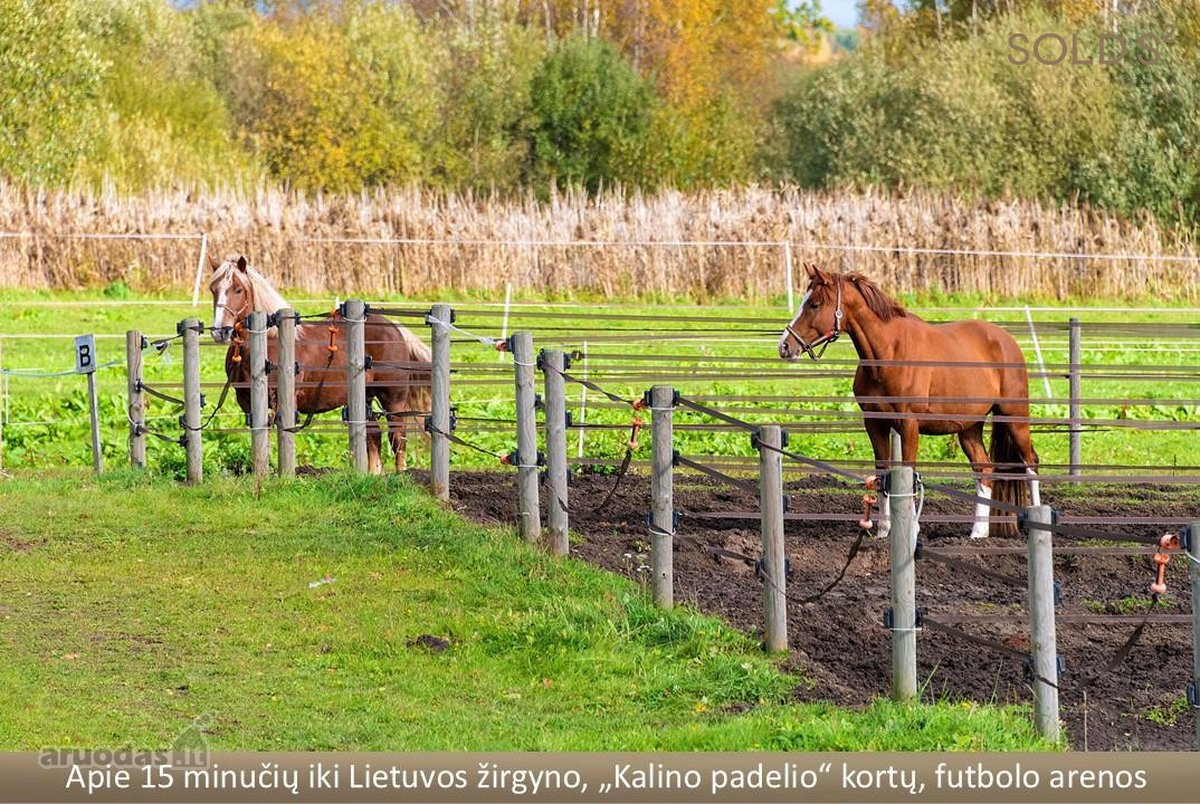 Verkių regioniniame parke, Gulbinuose, - nuotraukos Nr. 20