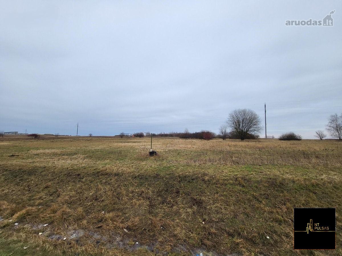 Parduodamas 375 arai komercinės paskirties - nuotraukos Nr. 15