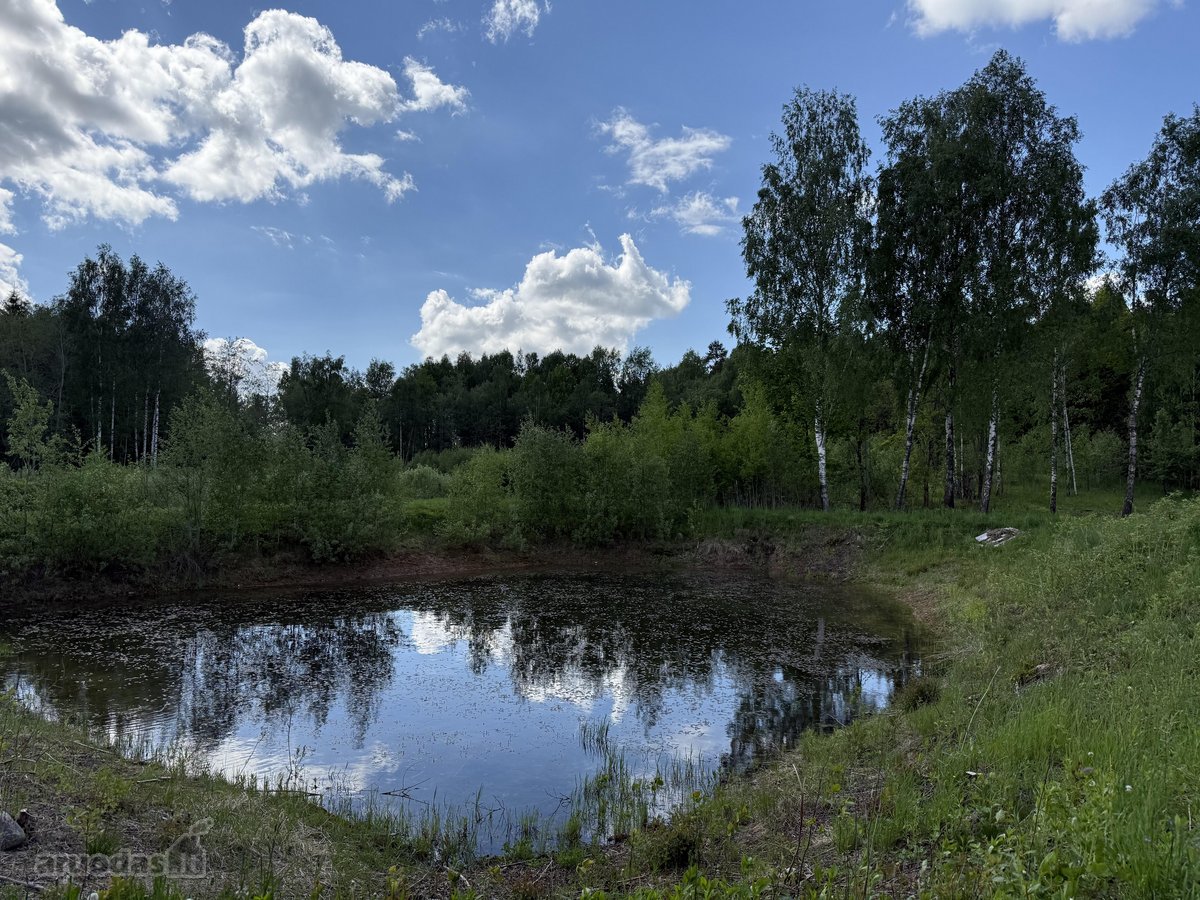 Parduodama Sodyba Vilniaus R., Paąžuolių K. - nuotraukos Nr. 9