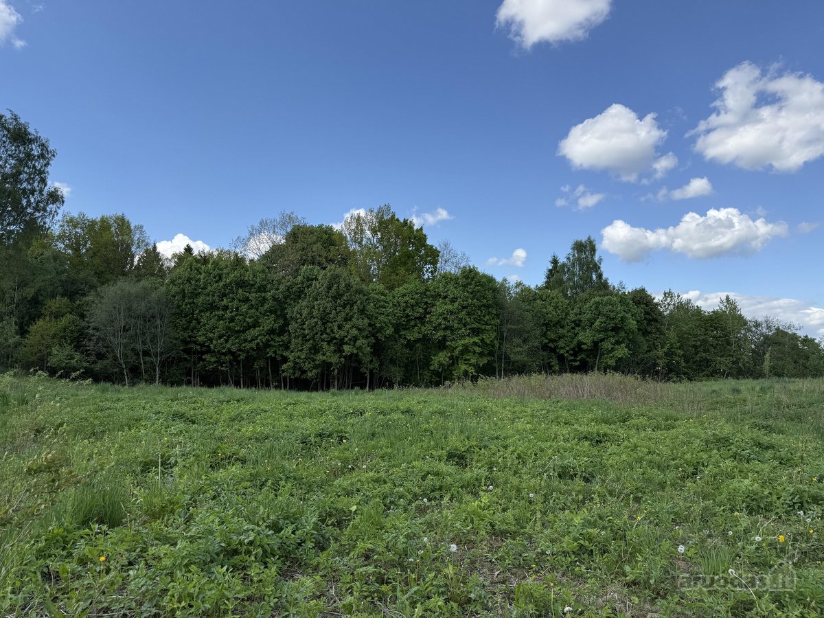Parduodama Sodyba Vilniaus R., Paąžuolių K. - nuotraukos Nr. 10
