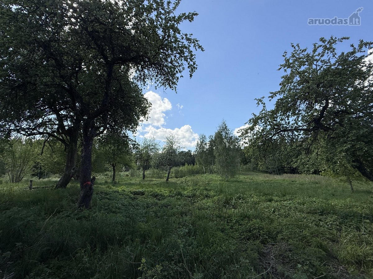 Parduodama Sodyba Vilniaus R., Paąžuolių K. - nuotraukos Nr. 17