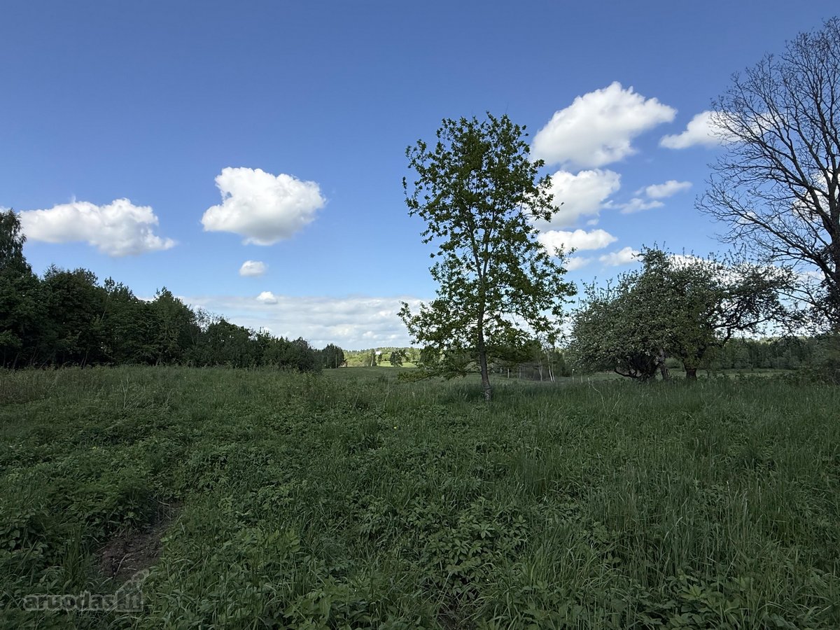 Parduodama Sodyba Vilniaus R., Paąžuolių K. - nuotraukos Nr. 18