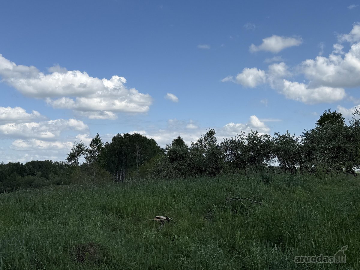 Parduodama Sodyba Vilniaus R., Paąžuolių K. - nuotraukos Nr. 19