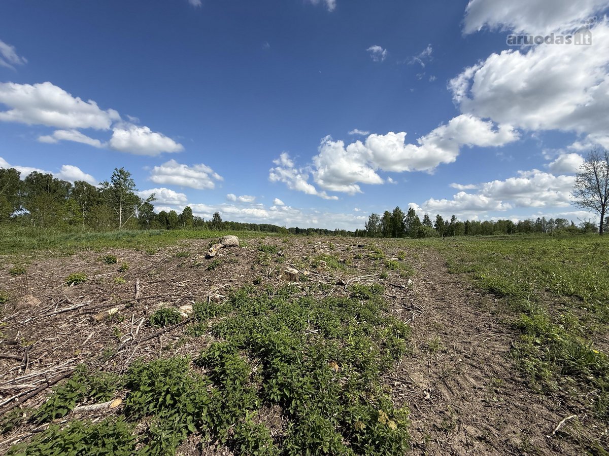 Parduodama Sodyba Vilniaus R., Paąžuolių K. - nuotraukos Nr. 21