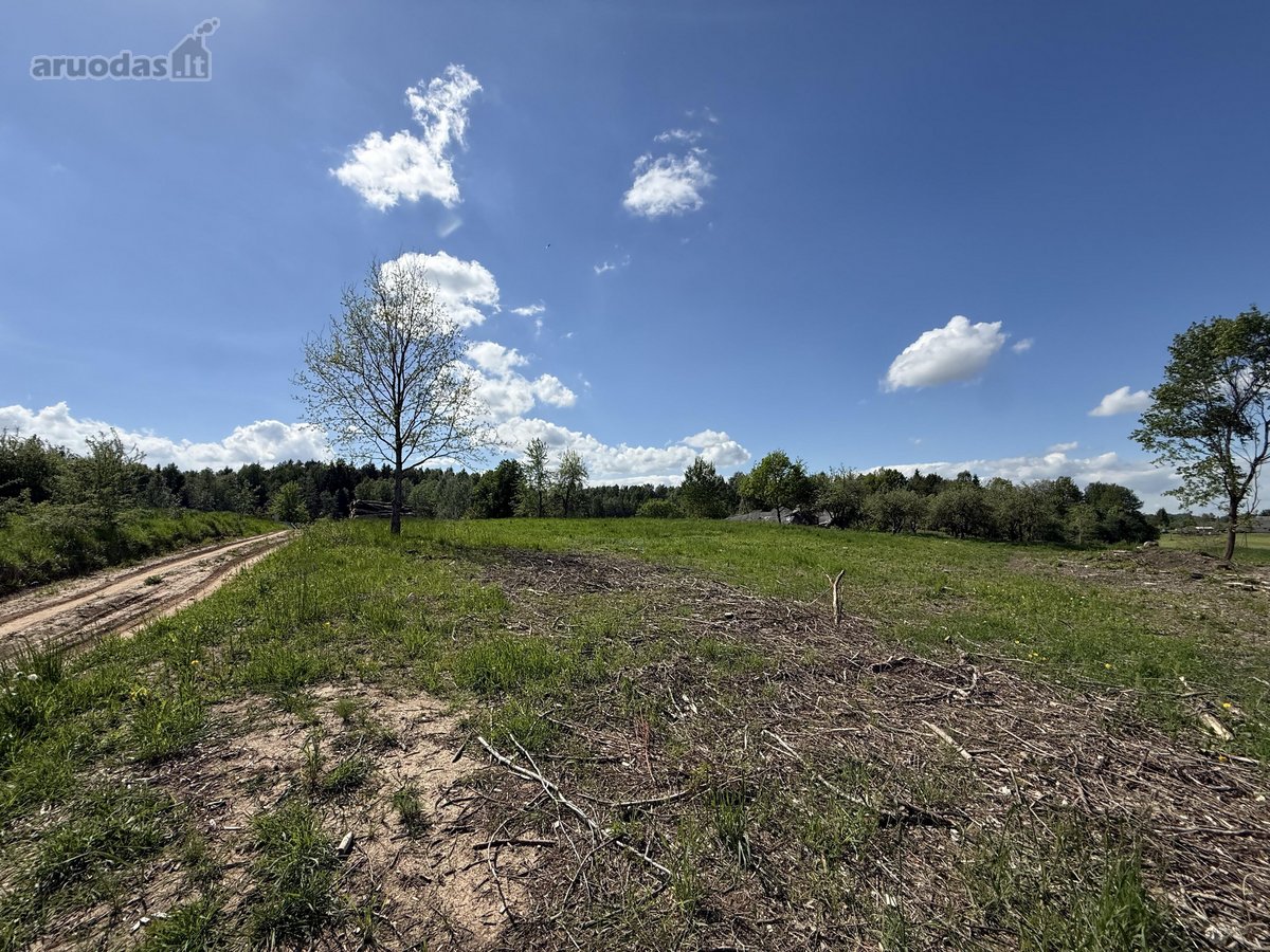 Parduodama Sodyba Vilniaus R., Paąžuolių K. - nuotraukos Nr. 22