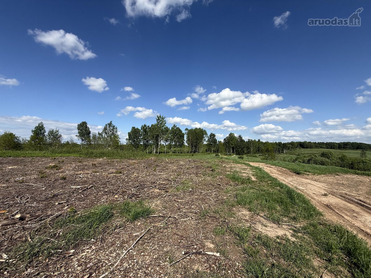 Parduodama Sodyba Vilniaus R., Paąžuolių K. - nuotraukos Nr. 23