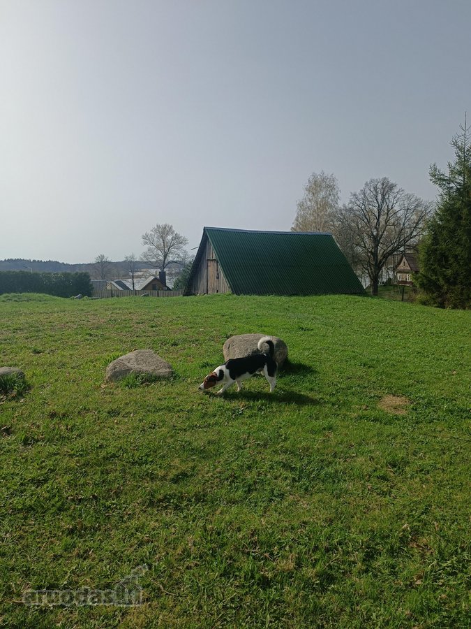 Sklypas prie Skaisčio ežero, Trakų - nuotraukos Nr. 5