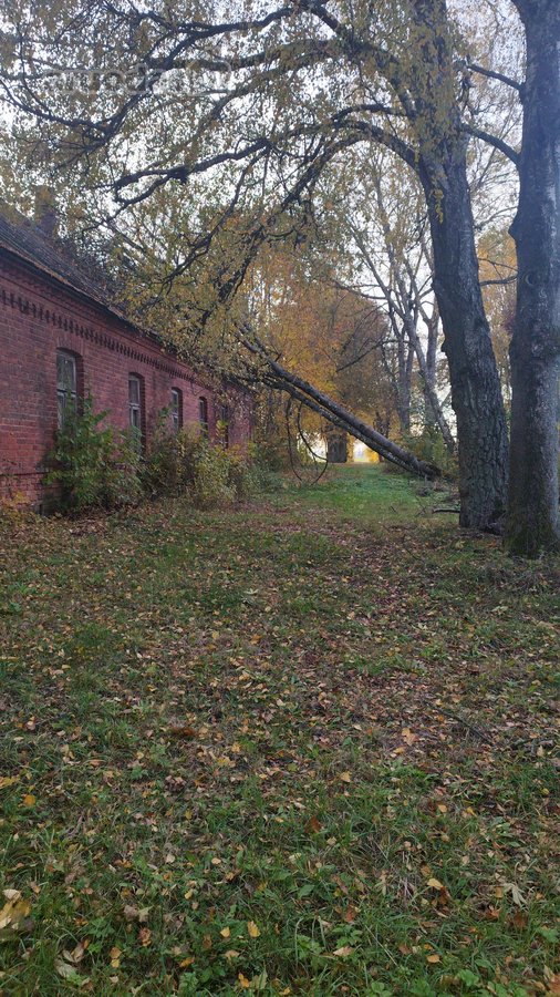 Sodyba su 4,9-ių hektarų sklype esančiu senu - nuotraukos Nr. 3