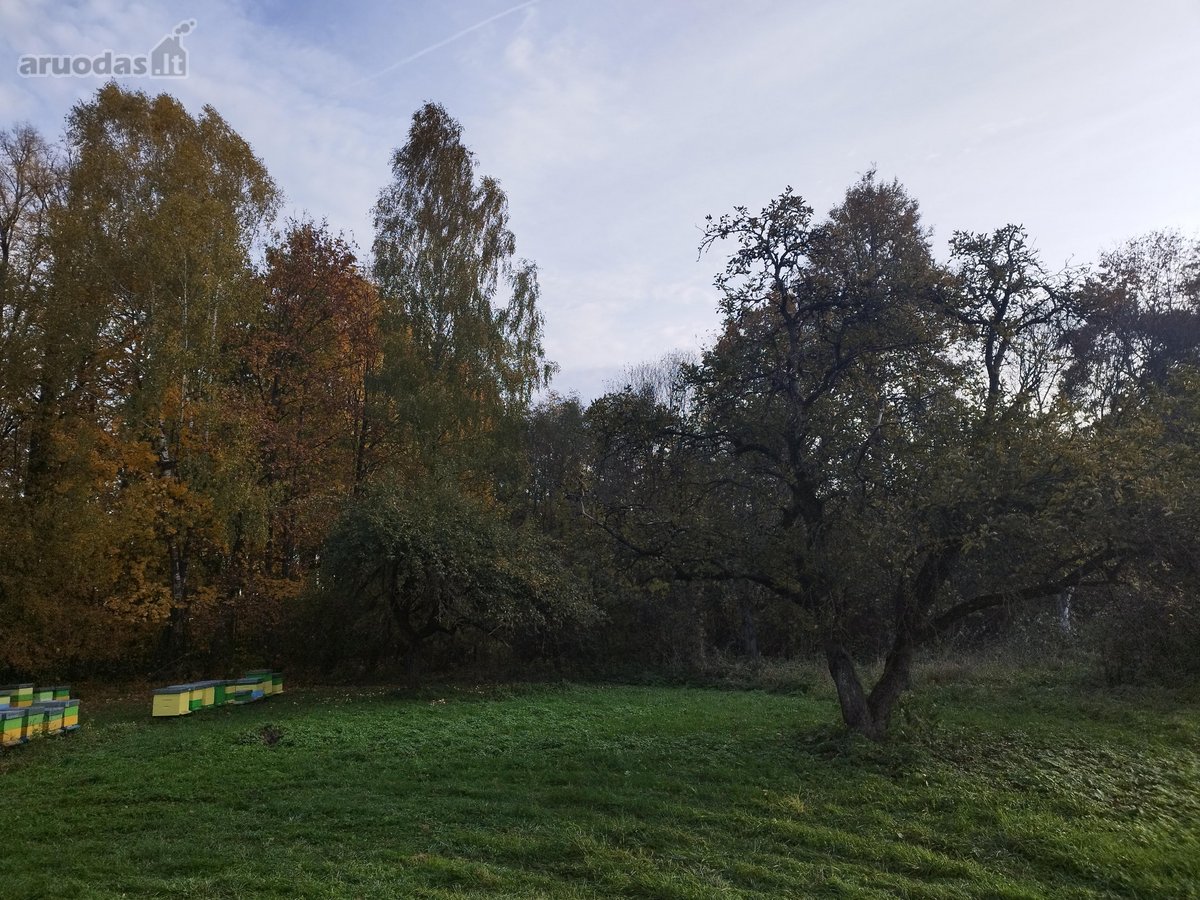 Sodyba su 4,9-ių hektarų sklype esančiu senu - nuotraukos Nr. 9