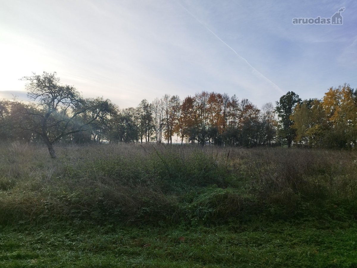 Sodyba su 4,9-ių hektarų sklype esančiu senu - nuotraukos Nr. 13