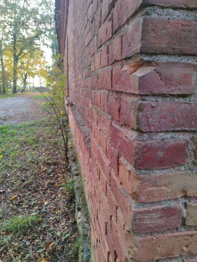 Sodyba su 4,9-ių hektarų sklype esančiu senu - nuotraukos Nr. 14