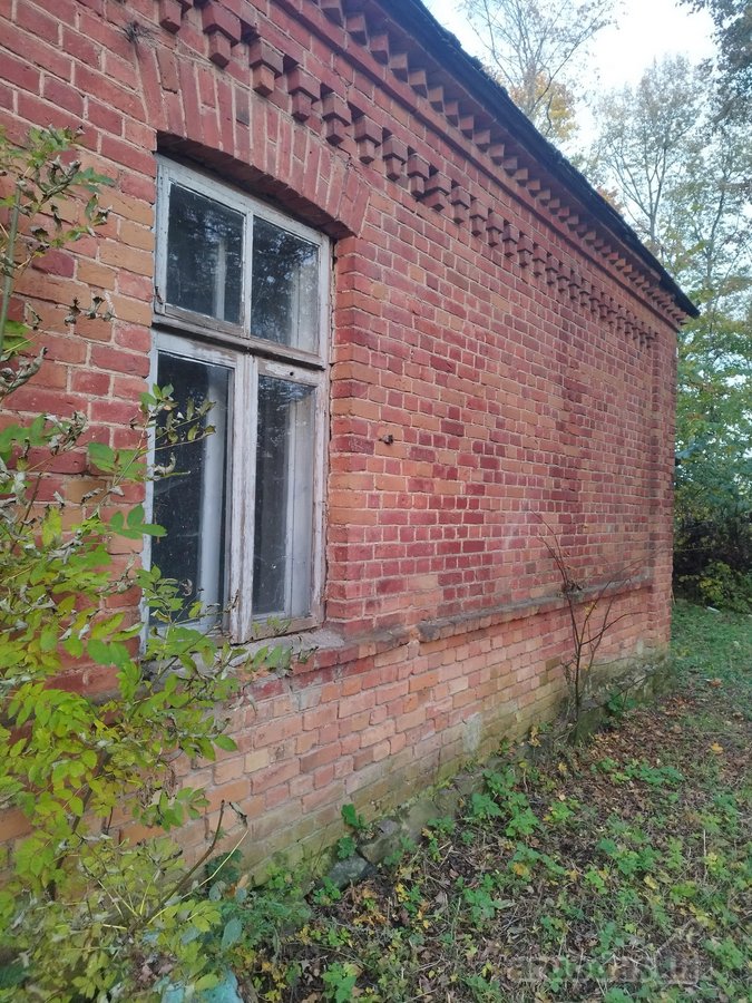 Sodyba su 4,9-ių hektarų sklype esančiu senu - nuotraukos Nr. 15
