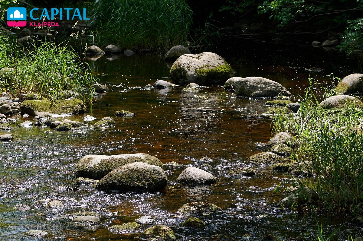 Išskirtinė Sodyba Gamtos Apsuptyje – 12.10 Ha - nuotraukos Nr. 53