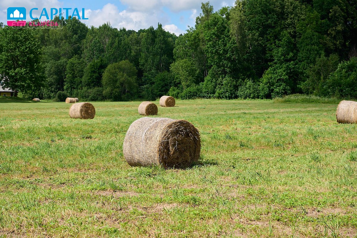 Išskirtinė Sodyba Gamtos Apsuptyje – 12.10 Ha - nuotraukos Nr. 56