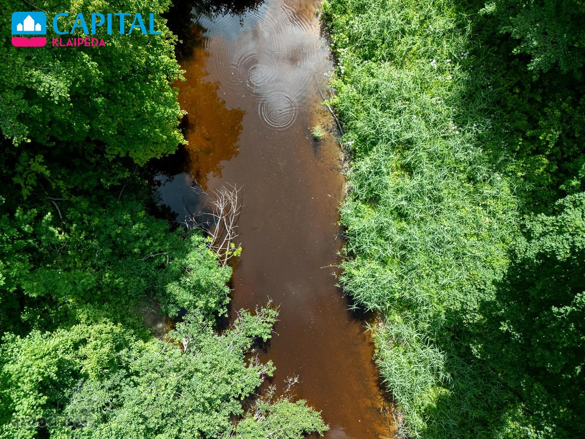 Išskirtinė Sodyba Gamtos Apsuptyje – 12.10 Ha - nuotraukos Nr. 61