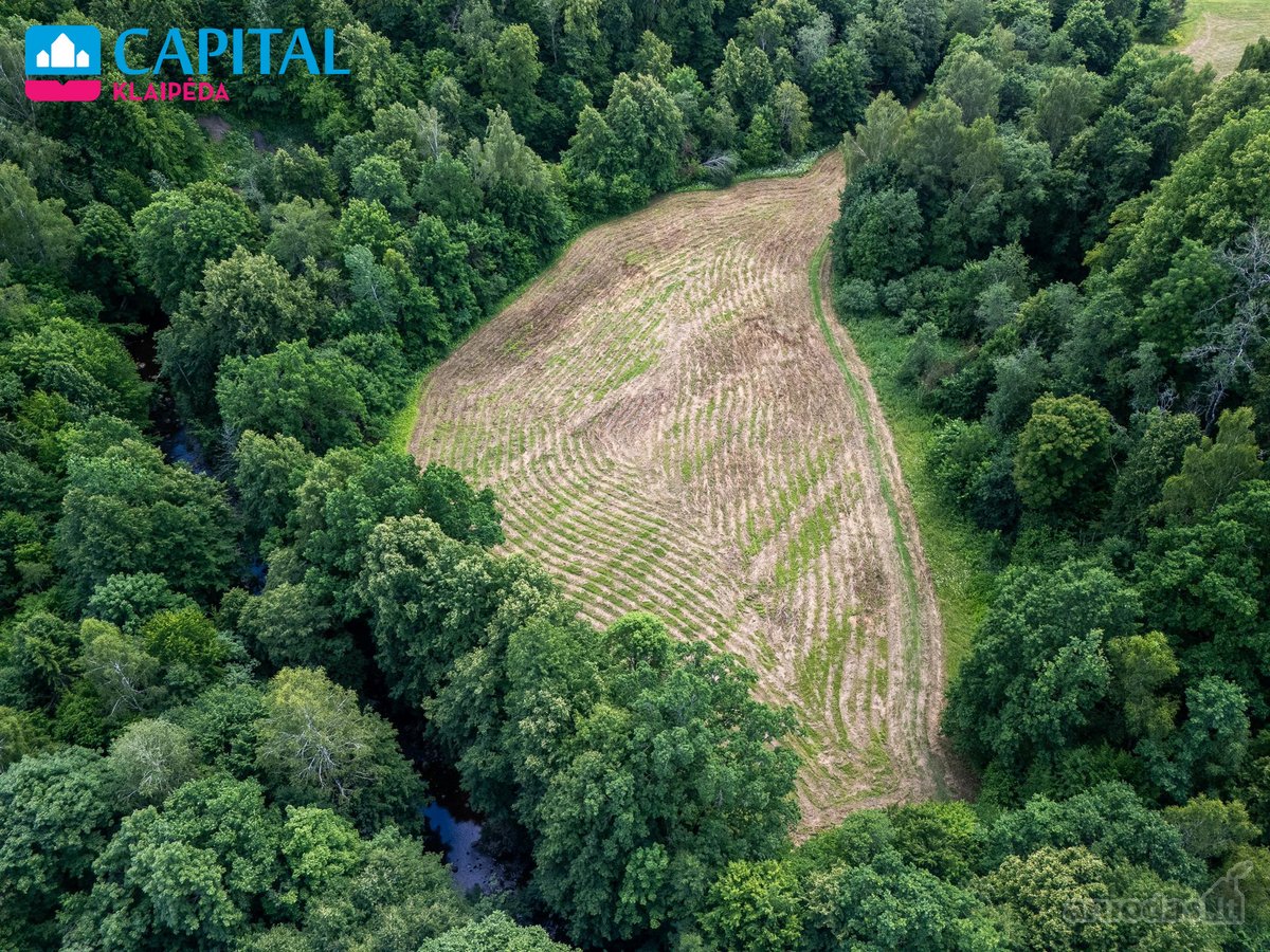 Išskirtinė Sodyba Gamtos Apsuptyje – 12.10 Ha - nuotraukos Nr. 66