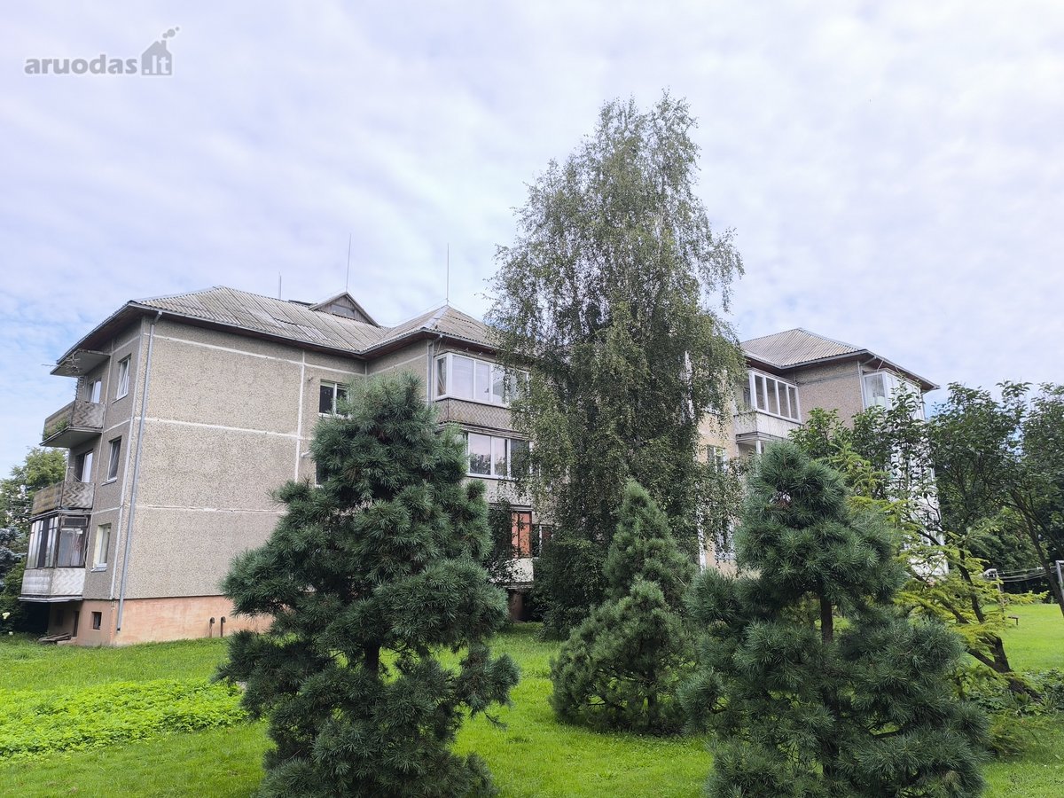 1 aukšte parduodamas erdvus 2 kambarių butas - nuotraukos Nr. 4